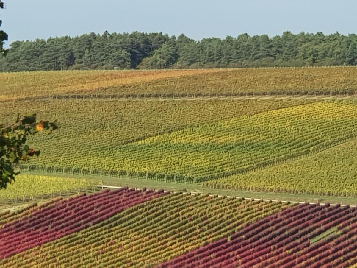 Le Bois De Laval Marey-les-Fussey Exterior foto